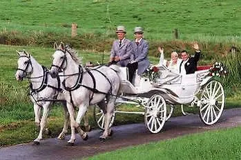 Hotel Zum Jaegerkrug 4*